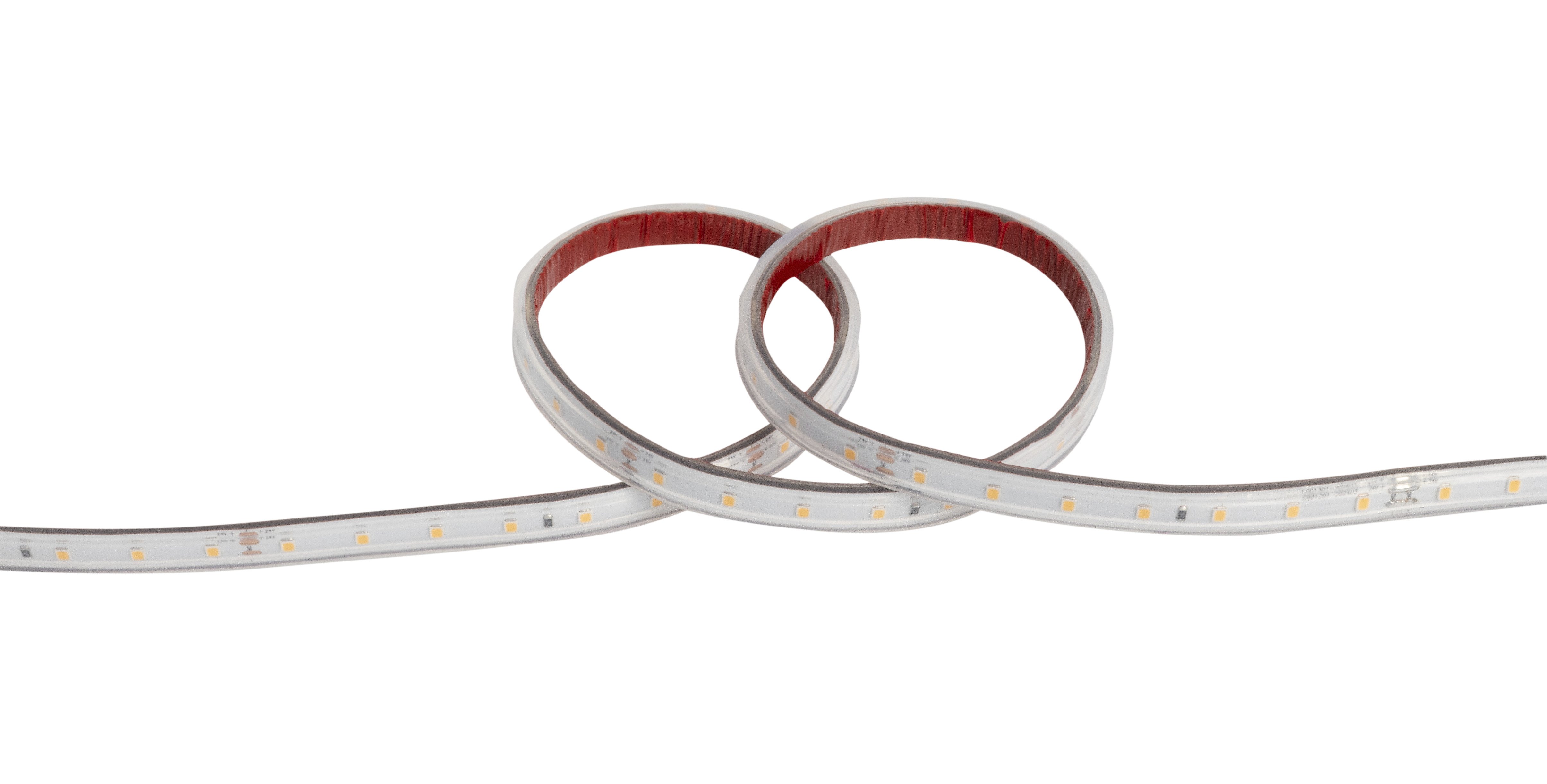 VEGAS EVERYDAY Strip 4.8W/m 24V LED SMD striplight 4000K IP65 5m
